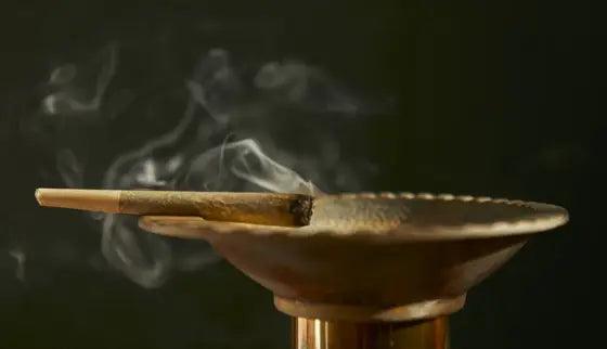 Everything You Need to Know About Hemp Wraps - TK PLUS