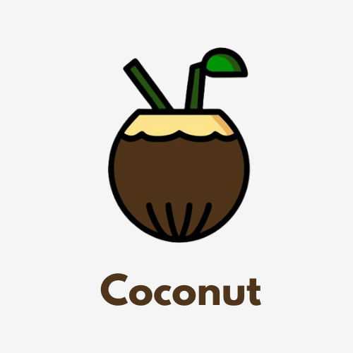 Coconut Disposable