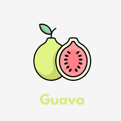 Guava Disposable