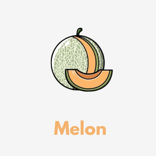 Melon Disposable