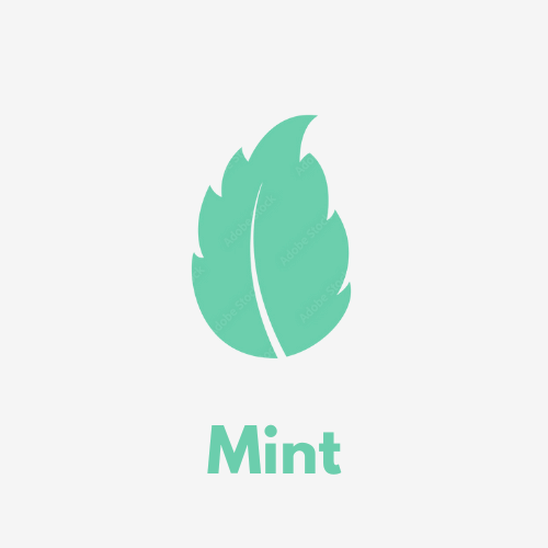 Mint Disposable