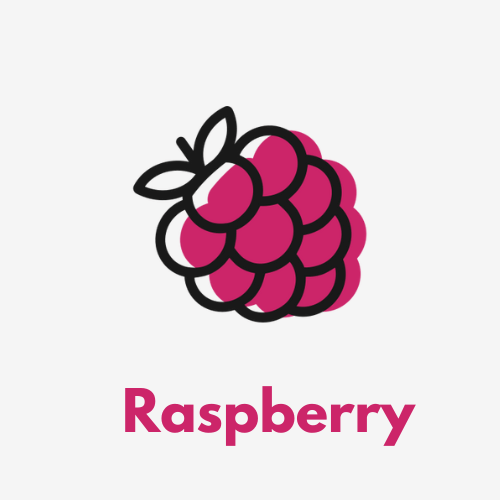 Raspberry Disposable